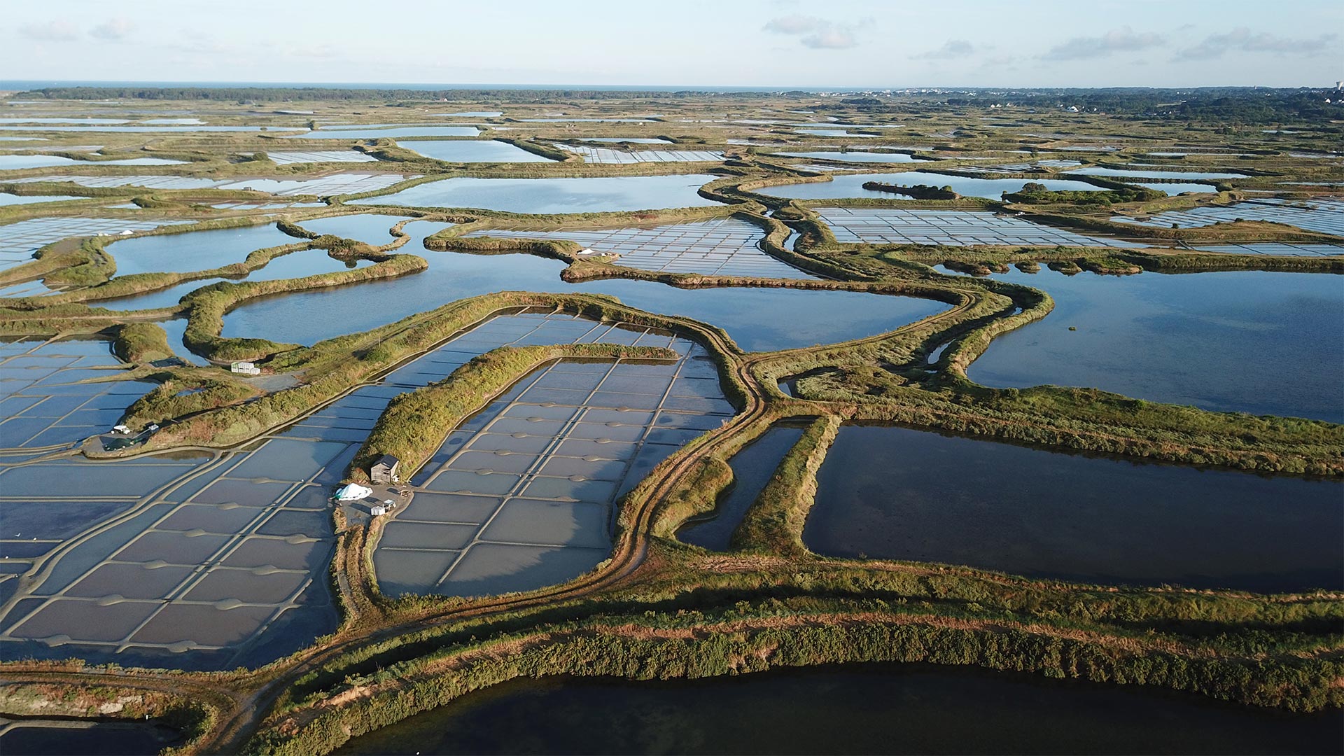 Les habitats, Lagunes côtières, LIFE Sallina