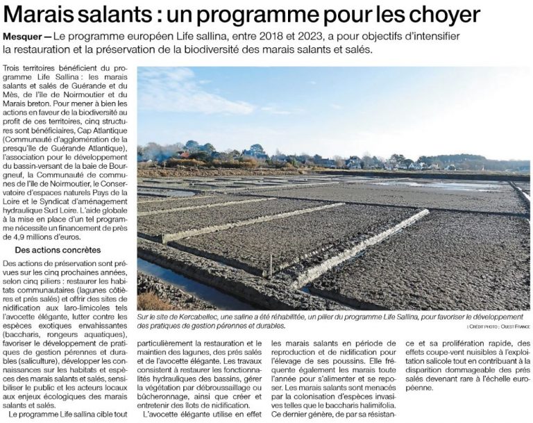 Marais salants : un programme pour les choyer