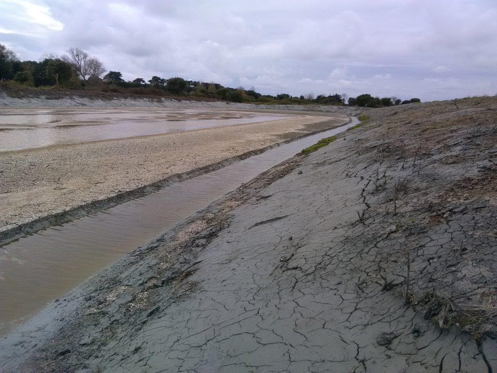 Octobre: reprise des travaux dans le marais de Millac