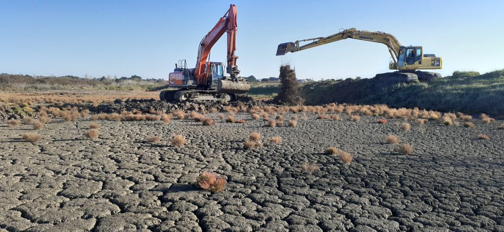 Marais de Millac : les travaux reprennent!