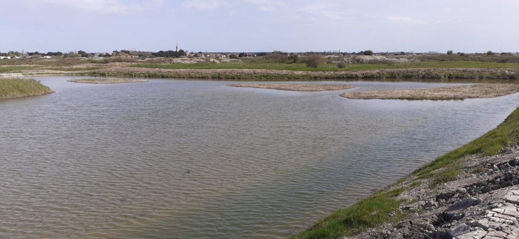 Le printemps est de retour au marais de Millac !