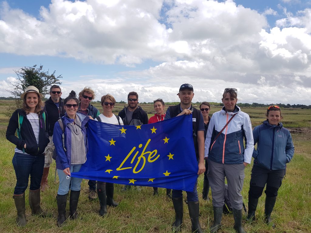 LIFE Sallina : voyage en terres Charentaises-Maritimes