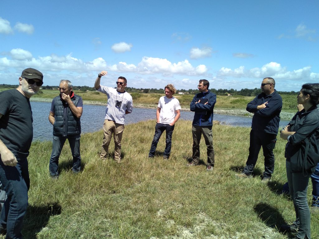 Des journées sensibilisation à la biodiversité du marais salé