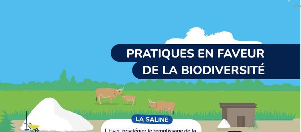 Un dépliant pour les exploitants et propriétaires de marais