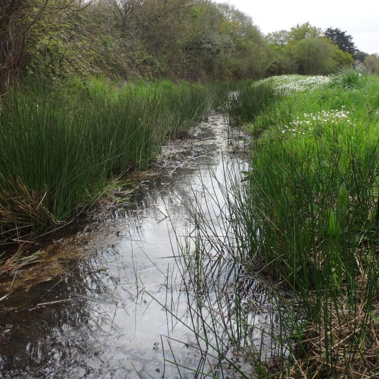 32_Fossés-de-ceinture_SaintMolf_ALTHIS